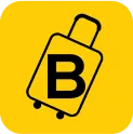 Baggage Logo